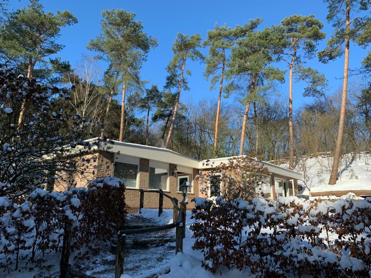 Villa Het Fazantenbosje à Dalfsen Extérieur photo