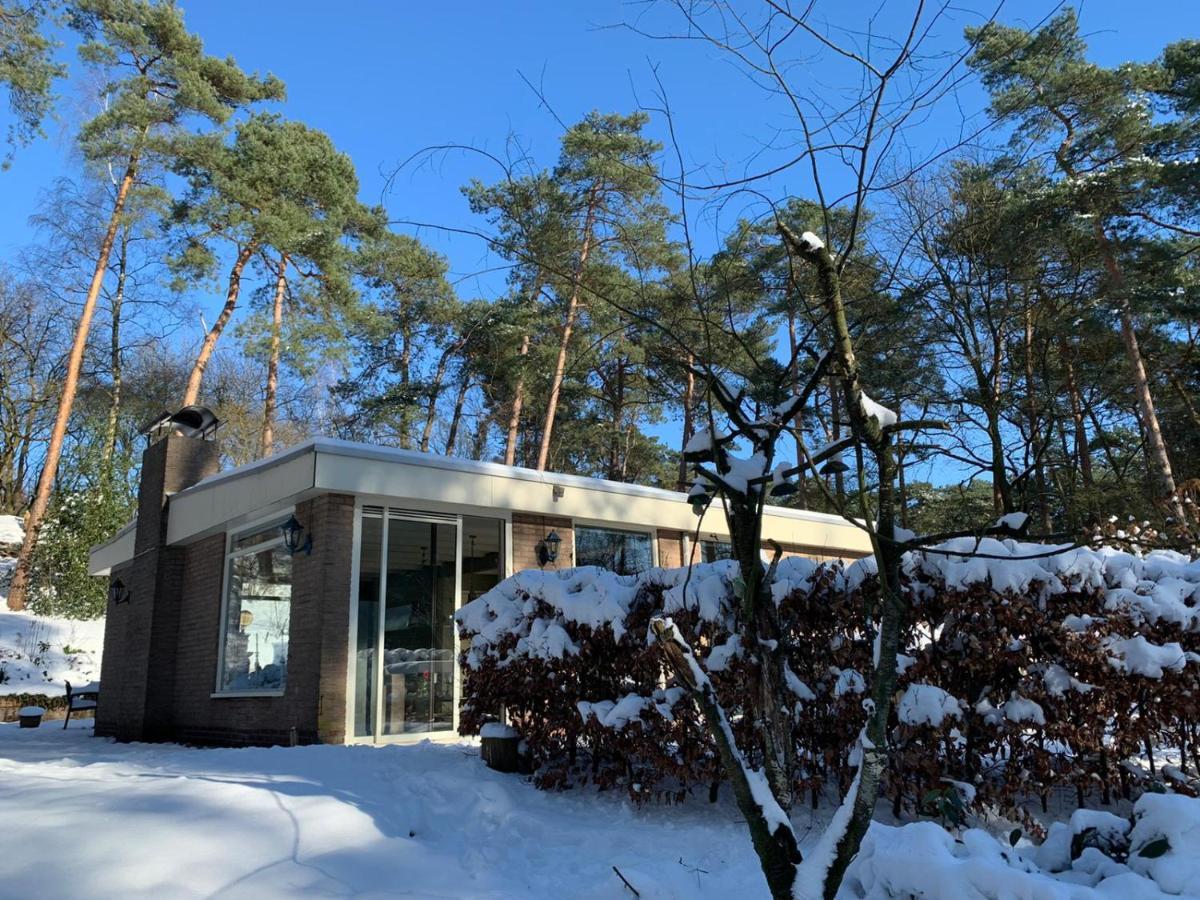 Villa Het Fazantenbosje à Dalfsen Extérieur photo