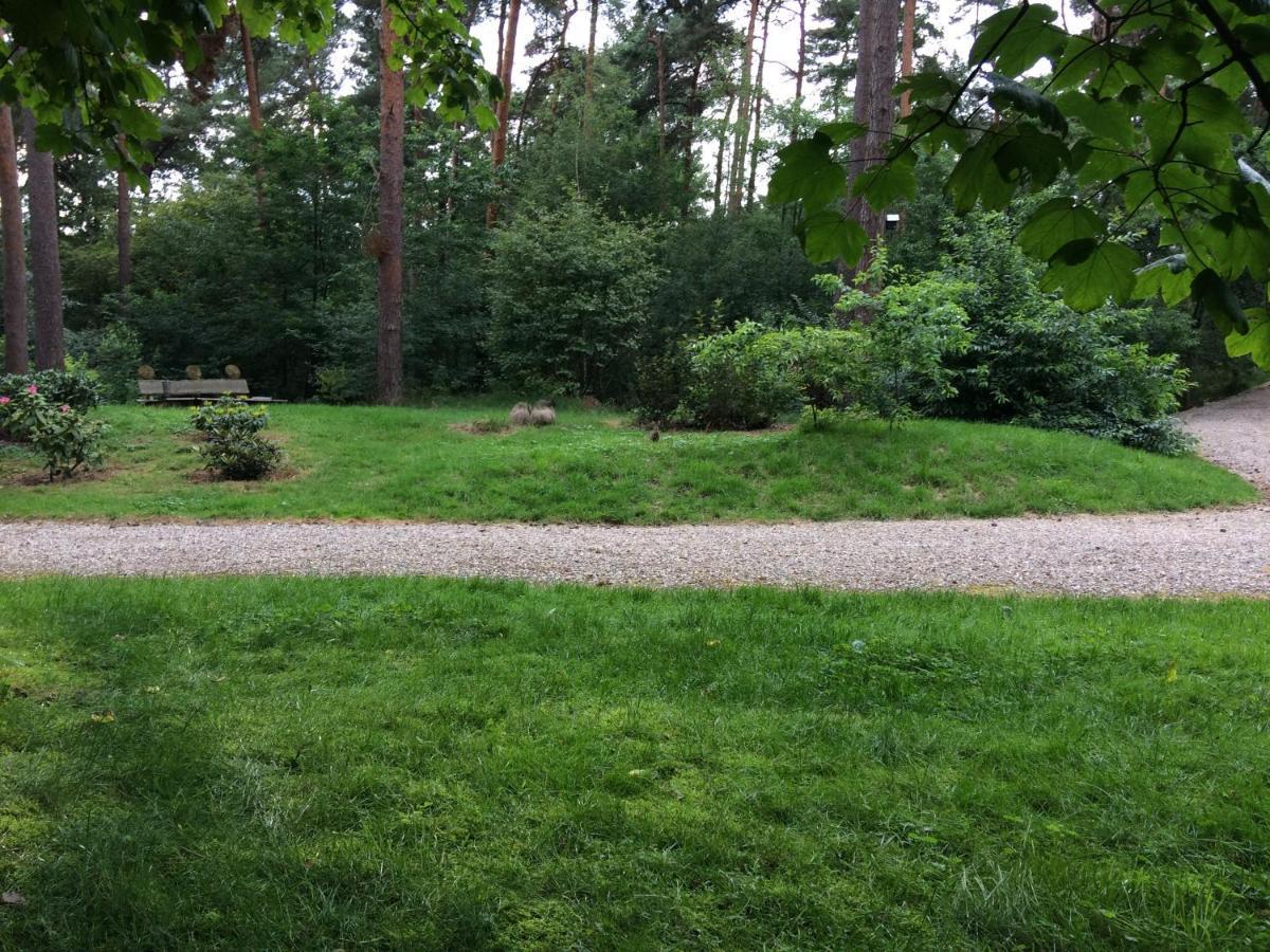 Villa Het Fazantenbosje à Dalfsen Extérieur photo